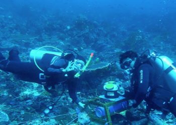 Indonesia Mulai Garap Energi Listrik Tenaga Arus Laut
