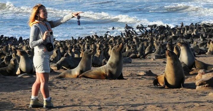 Terpapar Polutan, Ribuan Spesies Anjing Laut Mati di Namibia
