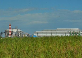 Investasi Industri Agro di Indonesia Tembus Rp91,9 Triliun