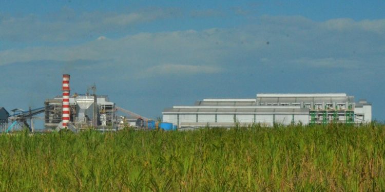 Investasi Industri Agro di Indonesia Tembus Rp91,9 Triliun