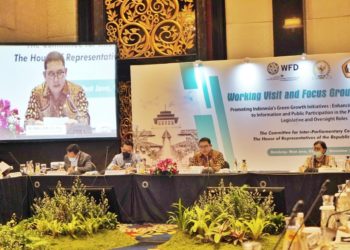 Inovasi Ekonomi Hijau di Indonesia Menginspirasi Dunia