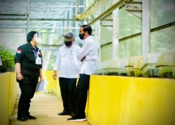 Indonesia Bangun Pusat Pembenihan dan Riset Hutan Tropika Internasional