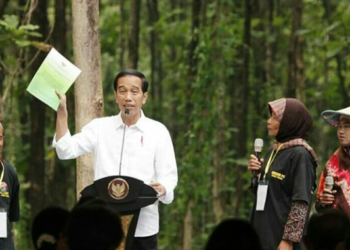 Realisasi Baru 4,2 Juta Hektare, Jokowi Soroti Program Perhutanan Sosial