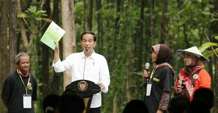 Realisasi Baru 4,2 Juta Hektare, Jokowi Soroti Program Perhutanan Sosial