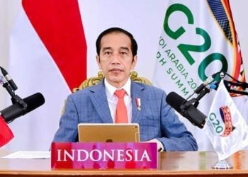 Pertemuan WEF, Jokowi Tawarkan Peluang Investasi Hijau di Indonesia