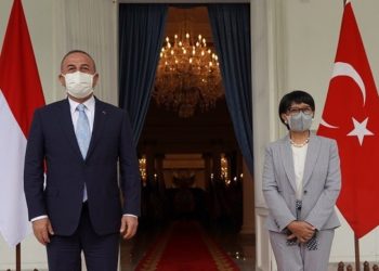 Relasi Indonesia dan Turki, Dua Negara Sepakat Perkuat Kapasitas Diplomatik