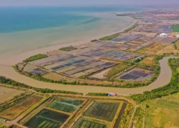Bencana Geologi Ancam Pantai Utara Jawa Tengah