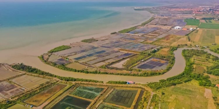 Bencana Geologi Ancam Pantai Utara Jawa Tengah