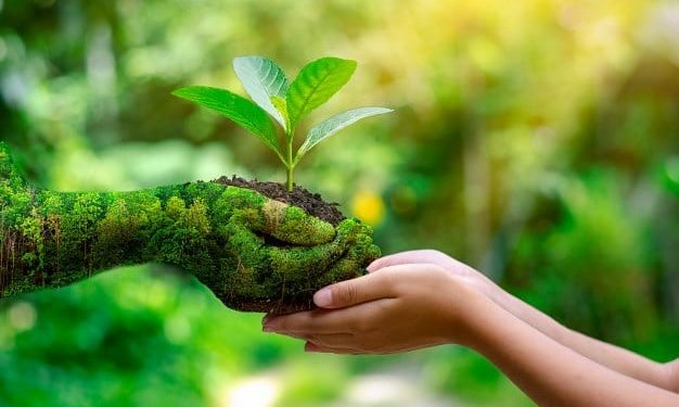 Di Level ASEAN, BRI dan BCA Masuk Kriteria Tertinggi Sebagai Bank Hijau
