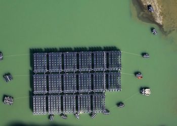 Indonesia dan Swiss Teken Project Arrangement Pengembangan Energi Terbarukan