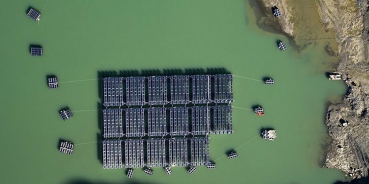 Indonesia dan Swiss Teken Project Arrangement Pengembangan Energi Terbarukan
