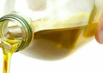 Minyak Jelantah, Potensi Biodiesel Indonesia yang Menjanjikan