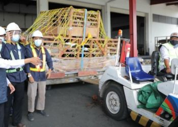 Pasar ASEAN Kian Terbuka, Jawa Timur Ekspor 2.650 Ekor Domba ke Brunei Darussalam