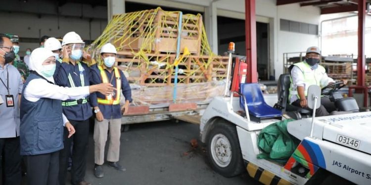 Pasar ASEAN Kian Terbuka, Jawa Timur Ekspor 2.650 Ekor Domba ke Brunei Darussalam