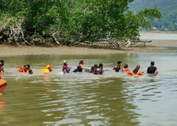 Hiu Paus Terdampar di Teluk Kendari