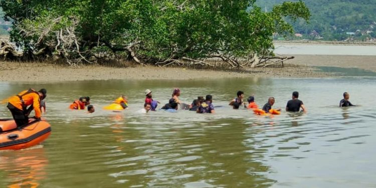 Hiu Paus Terdampar di Teluk Kendari