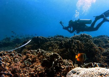 Jaring Turis Global, Indonesia Bangkitkan Wisata Bahari