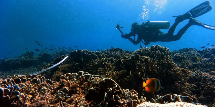 Jaring Turis Global, Indonesia Bangkitkan Wisata Bahari