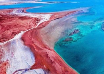 Jaring Turis Global, Arab Saudi Siapkan 300 Paket Wisata dan Safari di Alam Liar