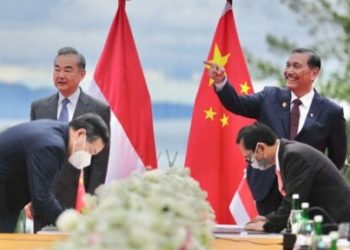Indonesia dan China Sepakat Kerja Sama ‘Two Countries Twin Park’