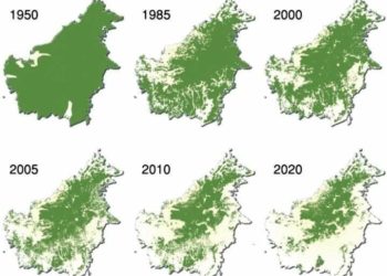 Hari-hari Terakhir Hutan Kalimantan