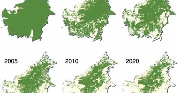 Hari-hari Terakhir Hutan Kalimantan