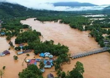 Jokowi Soroti Degradasi DAS Barito, Pemicu Banjir di Kalimantan Selatan