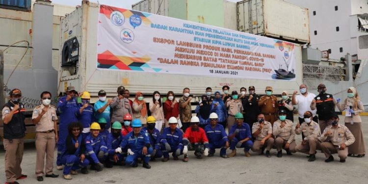 Luwuk Banggai Ekspor 1 Kontainer Gurita ke Mexico