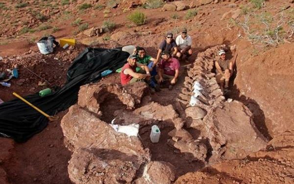 Fosil Dinosaurus Terbesar Ditemukan di Argentina