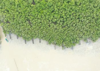 Indonesia Memainkan Peran Kunci dalam Koalisi Global Atasi Perubahan Iklim