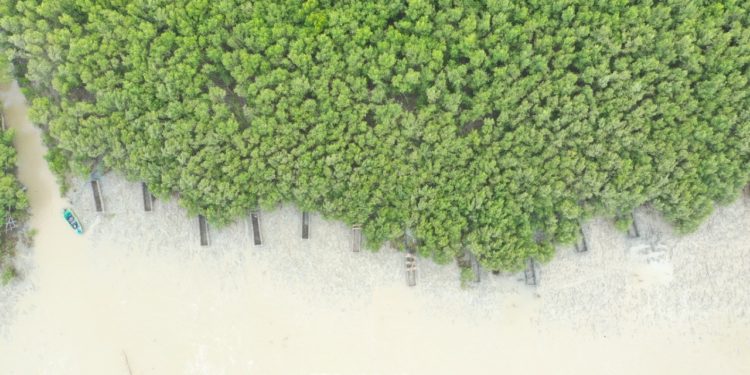 Indonesia Memainkan Peran Kunci dalam Koalisi Global Atasi Perubahan Iklim