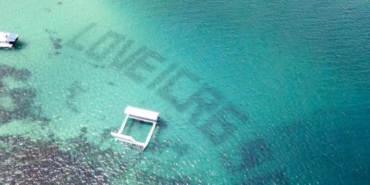 RESTORASI TERUMBU KARANG: Patung Garuda dan Ribuan Struktur Karang Hiasi Bawah Laut Bali