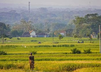Investasi Rp7 Miliar, Casagro akan Bangun Pabrik Pupuk Karbon di Klaten