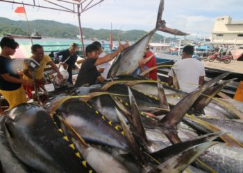 Indonesia Komitmen Jaga Kualitas Tuna yang Diekspor di Pasar Global