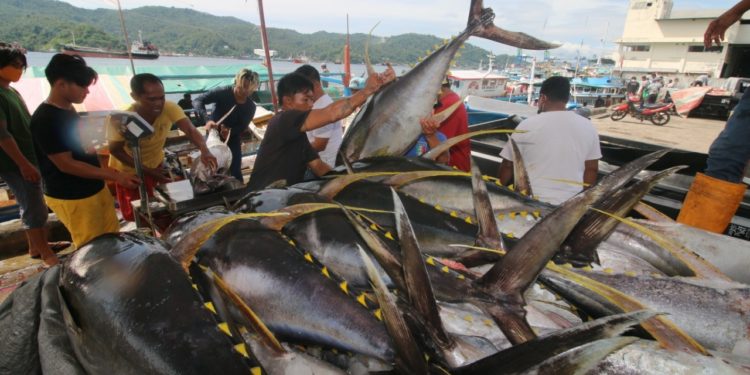 Indonesia Komitmen Jaga Kualitas Tuna yang Diekspor di Pasar Global
