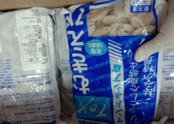 Cilacap Ekspor 18 Ton Udang Beku ke Jepang