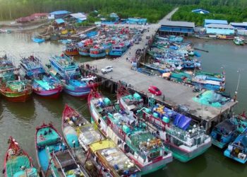 Indonesia Kembangkan STELINA, Jamin Kualitas Produk Perikanan di Pasar Global
