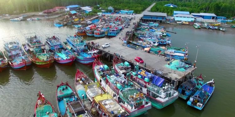 Indonesia Kembangkan STELINA, Jamin Kualitas Produk Perikanan di Pasar Global