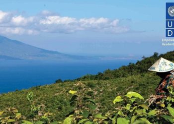 UNDP dan CIFOR Dorong Pembiayaan Perubahan Iklim di Indonesia harus Responsif Gender
