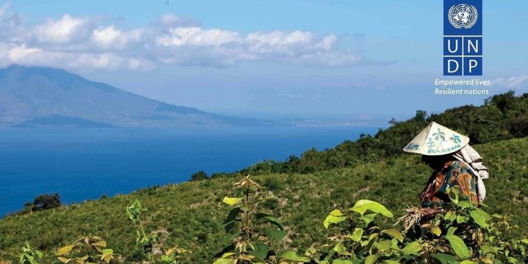 UNDP dan CIFOR Dorong Pembiayaan Perubahan Iklim di Indonesia harus Responsif Gender