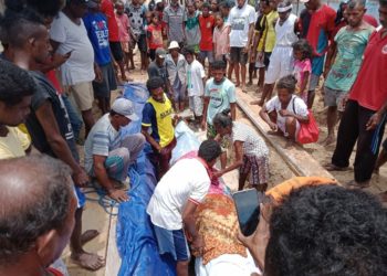 Hormati Leluhur, Warga Kepulauan Aru Kuburkan Paus Mati Secara Adat