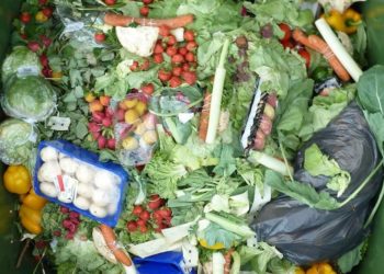 Bumi Tercemar Jutaan Ton Limbah Makanan, Krisis Kelaparan Diabaikan