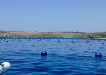 Produk dan Hasil Laut Lombok Mulai Rambah Pasar Asia 1