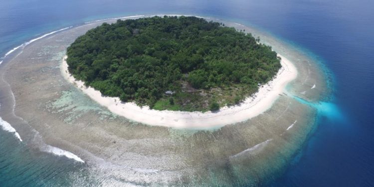 Mengapa Indonesia Izinkan Status Zona Inti Kawasan Konservasi Bisa Diubah?