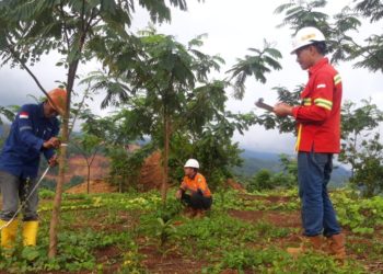 Terapkan Best Mining Practice, KLHK Ganjar CNI Proper Biru