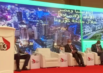 Indonesia Dorong Mesir dan Negara Afrika Perluas Kerjasama Ekonomi