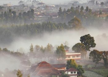 Proyek UN-Habitat di Bandung dan Surabaya Jadi Referensi di Sidang PBB