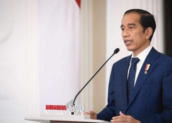 Indonesia Kini Menjelma Menjadi Kekuatan Baru di Asia Tenggara