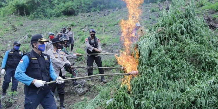 BNN Indonesia Bertekad Wujudkan ‘ASEAN Drug Free’