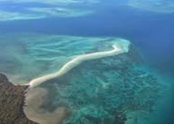 Indonesia Ajukan Draft Konvensi Perlindungan Laut Arafura dan Timor
